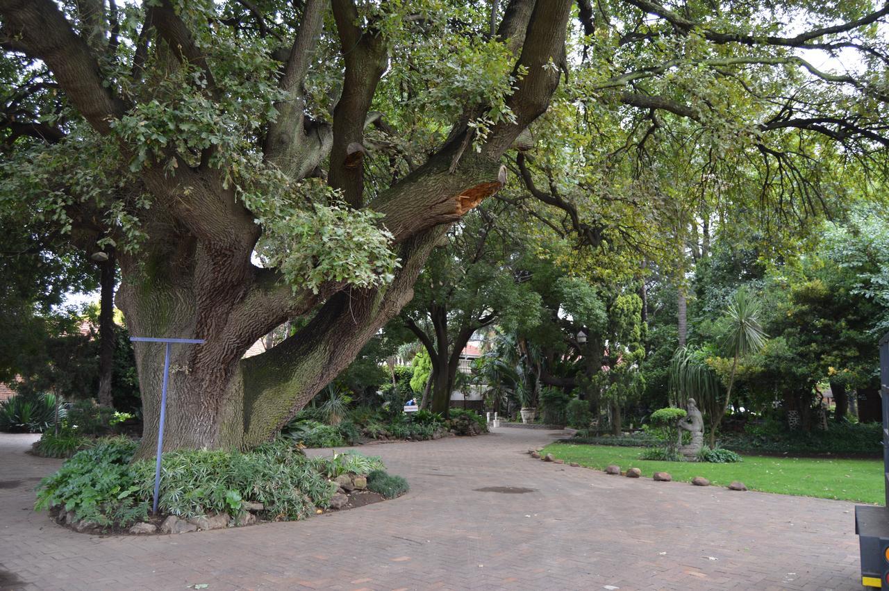 Airport Gardens Boutique Hotel Boksburg Ngoại thất bức ảnh